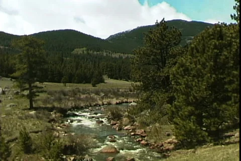 Mountain Stream Stock Footage