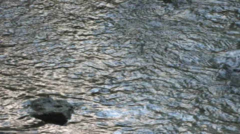 Mountain Stream Vídeo Stock 831553