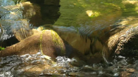 Mountain stream. Stock Footage 859835