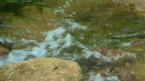 Mountain stream. Stock Footage 859881