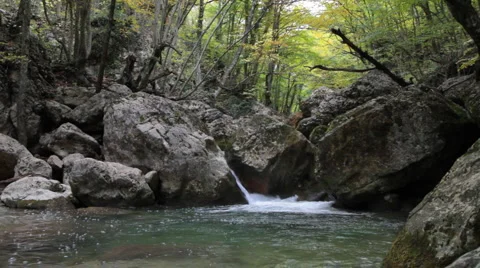 Mountain stream Видео 890374