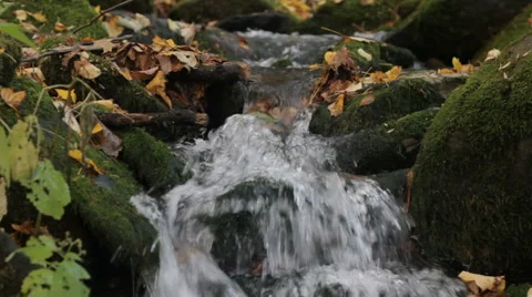 Mountain stream Stockbeeldmateriaal 908716