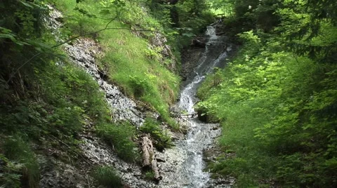 Mountain Stream Stockbeeldmateriaal 1015699