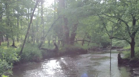 Mountain Stream Stock Footage 7766035