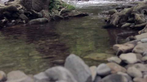 Mountain Stream Video stock 7767013
