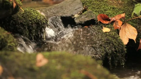 Mountain stream Video stock 8671769