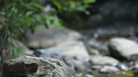 Mountain stream Stock Footage 8989486