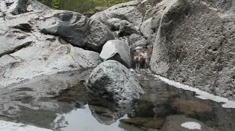 Mountain stream Stock Footage 10942180