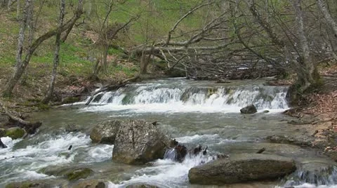 Mountain stream Stock Footage 11400838