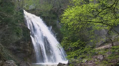 Mountain stream Stock Footage 11418075