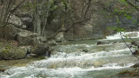 Mountain stream Stock Footage 11421376