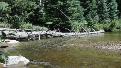 Mountain stream Stock Footage 11632909