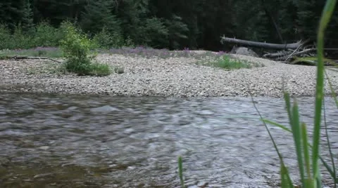 Mountain stream Stock Footage 11633024