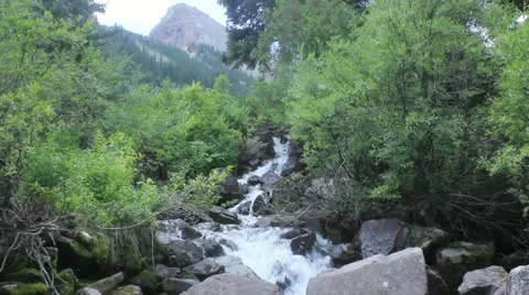 Mountain stream Stock Footage 11633196