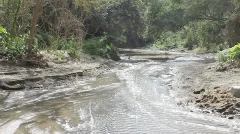 Mountain stream Stock Footage 11633347