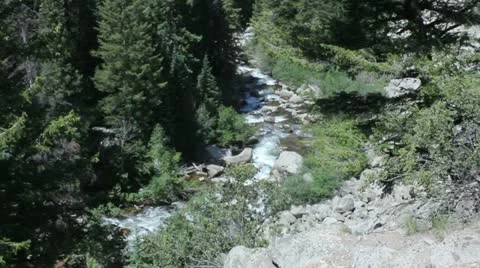 Mountain stream Stock Footage 11633520