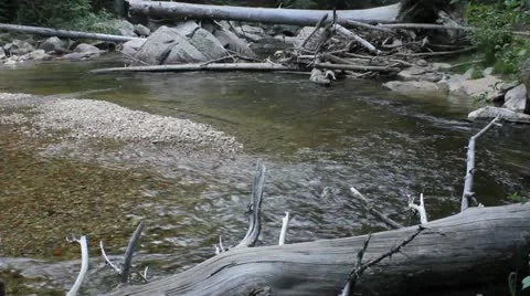 Mountain stream Stock Footage 11633548