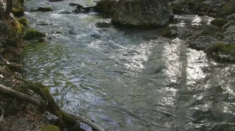 Mountain stream Stock Footage 11959628