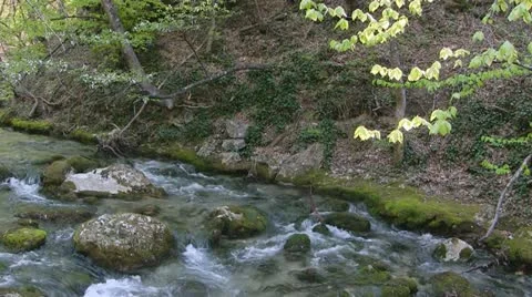 Mountain stream Stock Footage 11976739