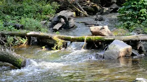 Mountain stream Stock Footage 12287556