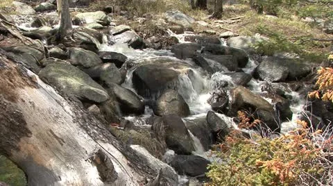 Mountain Stream Stock Footage 12766458