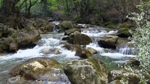 Mountain stream Stock Footage 18187436
