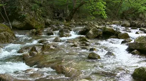 Mountain stream Stock Footage 21013721