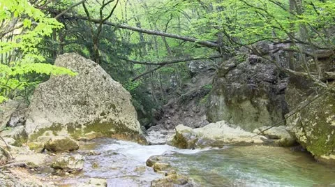 Mountain stream Stock Footage 21018980