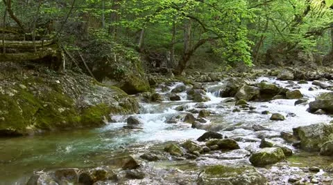 Mountain stream Stock Footage 21071345