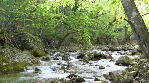 Mountain stream Stock Footage 21071875
