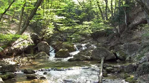 Mountain stream Stock Footage 21226886