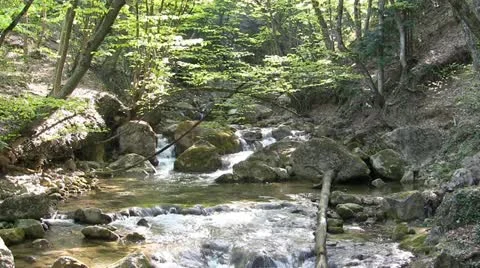 Mountain stream Stock Footage 21227730