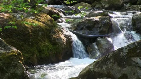 Mountain stream Stock Footage 21235930