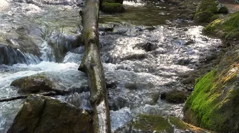Mountain stream Stock Footage 21236793