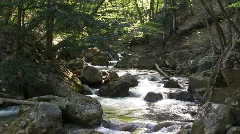 Mountain stream Stock Footage 21237244