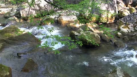 Mountain stream Stock Footage 21241362