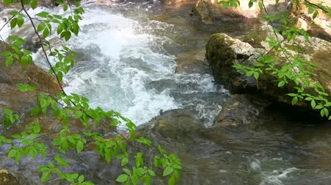 Mountain stream Stock Footage 21241623