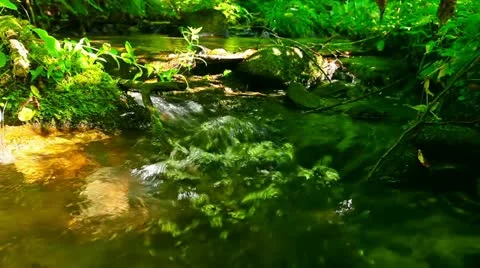 Mountain stream Stock Footage 21433438