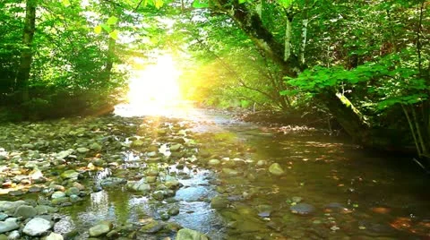 Mountain stream Stock Footage 21433678