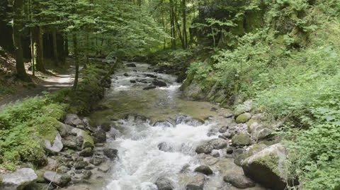 Mountain stream Stock Footage 24720639