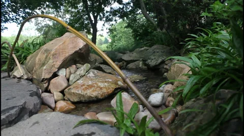 Mountain stream Stock Footage 31211808