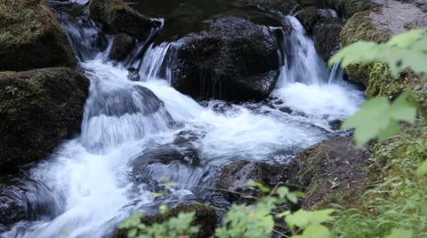 Mountain Stream Stock Footage 32019796