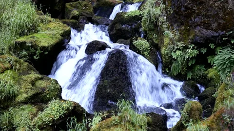 Mountain Stream Stock Footage 32020556
