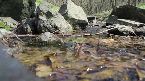 Mountain stream Stock Footage 37769253