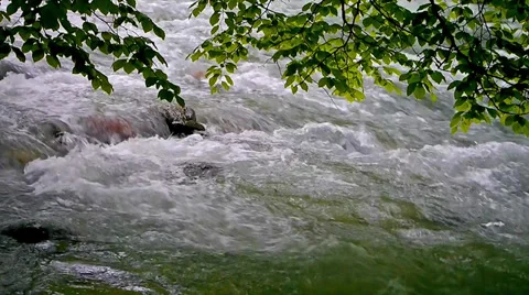 Mountain stream Stock Footage 38397030