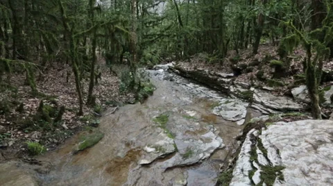 Mountain stream Stock Footage 38502851