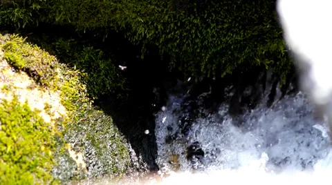 Mountain stream Stock Footage 39017768