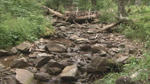 Mountain Stream Stock Footage 40593921