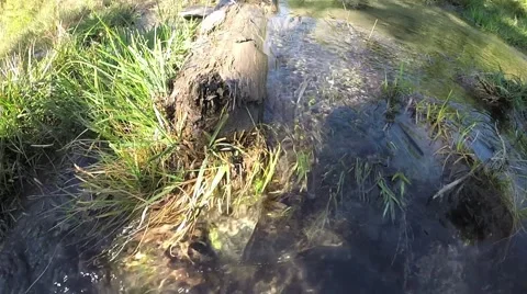 Mountain stream Stock-Footage 41423176