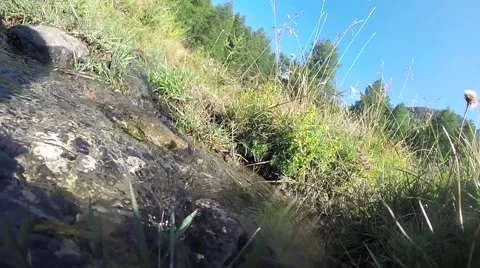 Mountain stream 스톡 동영상 41423238